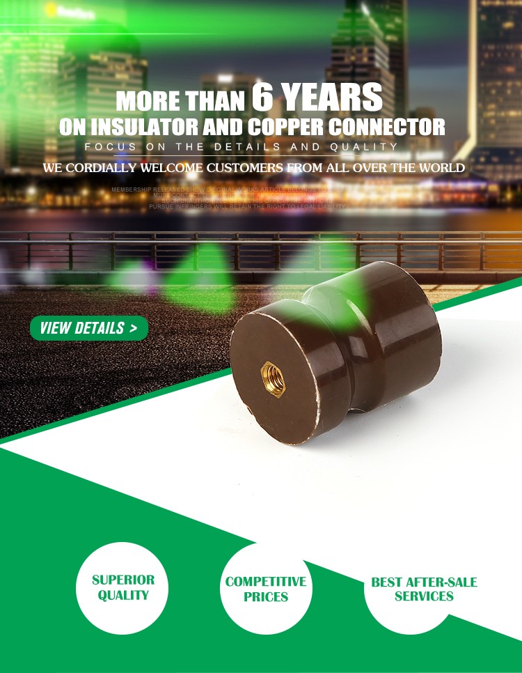 High quality DW5 DMC/BMC screw dimension busbar composite insulator