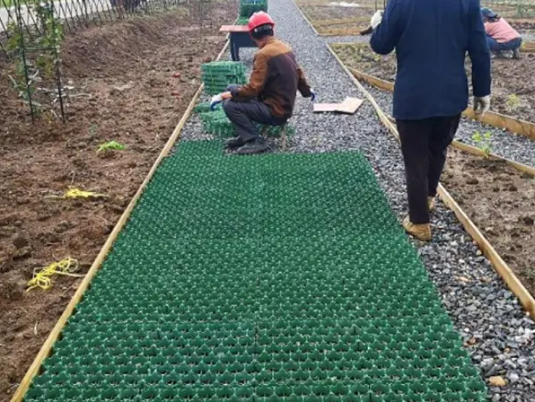 500*500*50 Grass Plastic Paver Grid for Long-Lasting and Sustainable Parking Solutions