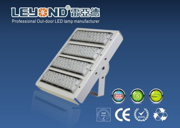 IP66 Cool White Waterproof LED Flood Lights