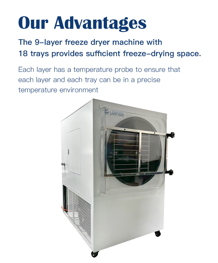 Double Compressor Vegetable Freeze Dryer Fruit Flower Vacuum Freeze Drying Equipment