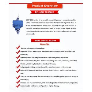 Advanced UNIVO UBST-503SY Digital Display Pressure Sensors for Tank Water and