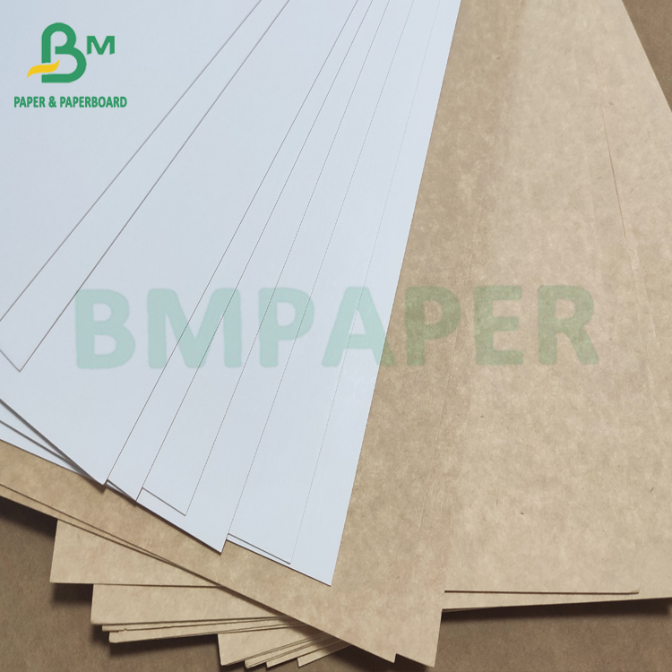 Frozen Food Packaging Kraft Paper White Coated Kraft Back For Food Boxes