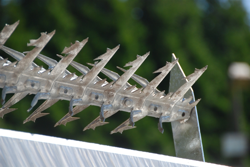 rotary razor spikes