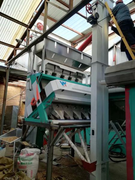 WYCS5-320 White Sesame Seed Color Soter Machine For Black Sesame Removing And