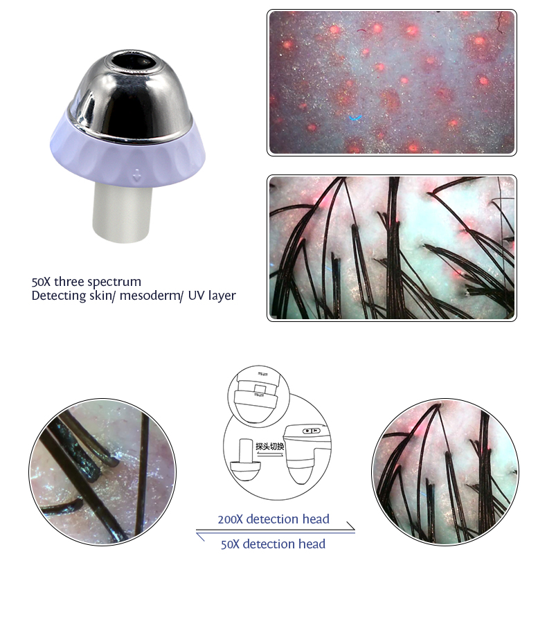 Professional 11 Inch Touch Screen Hair Analysis Machine for Salon and Beauty Center