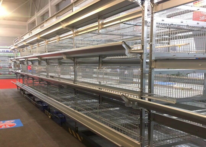 Industrial Broiler Chicken Cage Farming Conventional Cages For Laying Hens