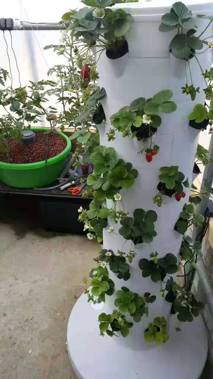 Vertical Hydroponic Aeroponic Growtower Sustainable Hydroponic System
