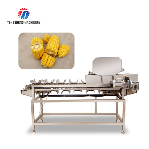 150KG 2.05KW Cut loofah pumpkin asparagus cucumber lettuce eggplant bitter melon