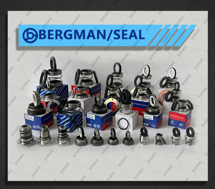 BERGMAN 560C-10 12 14 15 16 18 19 20 22 25 28 30 32 35-60mm Pump Mechanical Seal
