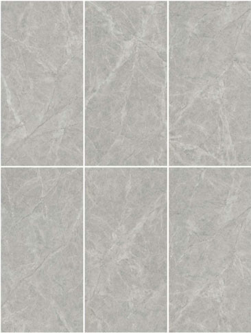Gray Matte Outdoor Curtain Wall Porcelain Tile 60x120cm For Building And Swimming Pool