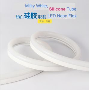 Progra Color Chasing Magic Digital Rgb Addressable LED Pixel Neon Flex DMX512