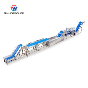 vegetable drying equipment Fruit and vegetable selection washing and drying