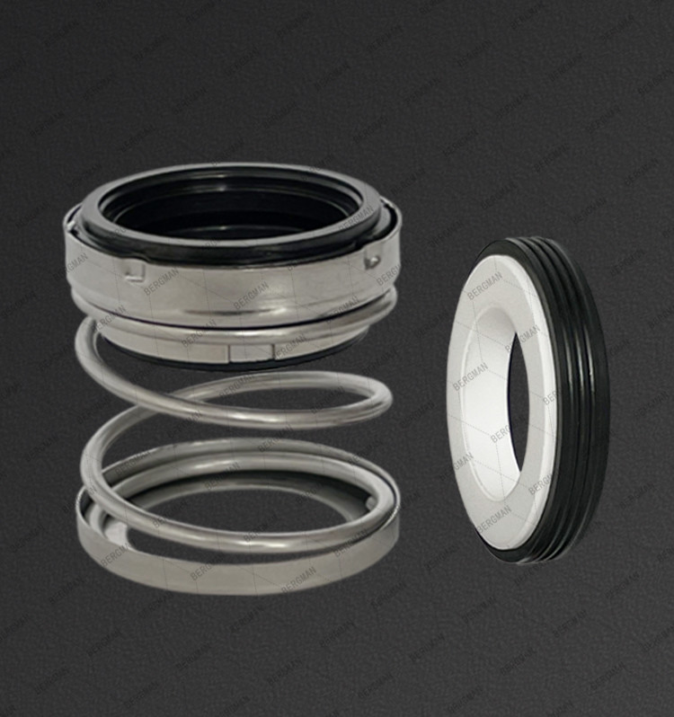 BERGMAN 560C-10 12 14 15 16 18 19 20 22 25 28 30 32 35-60mm Pump Mechanical Seal