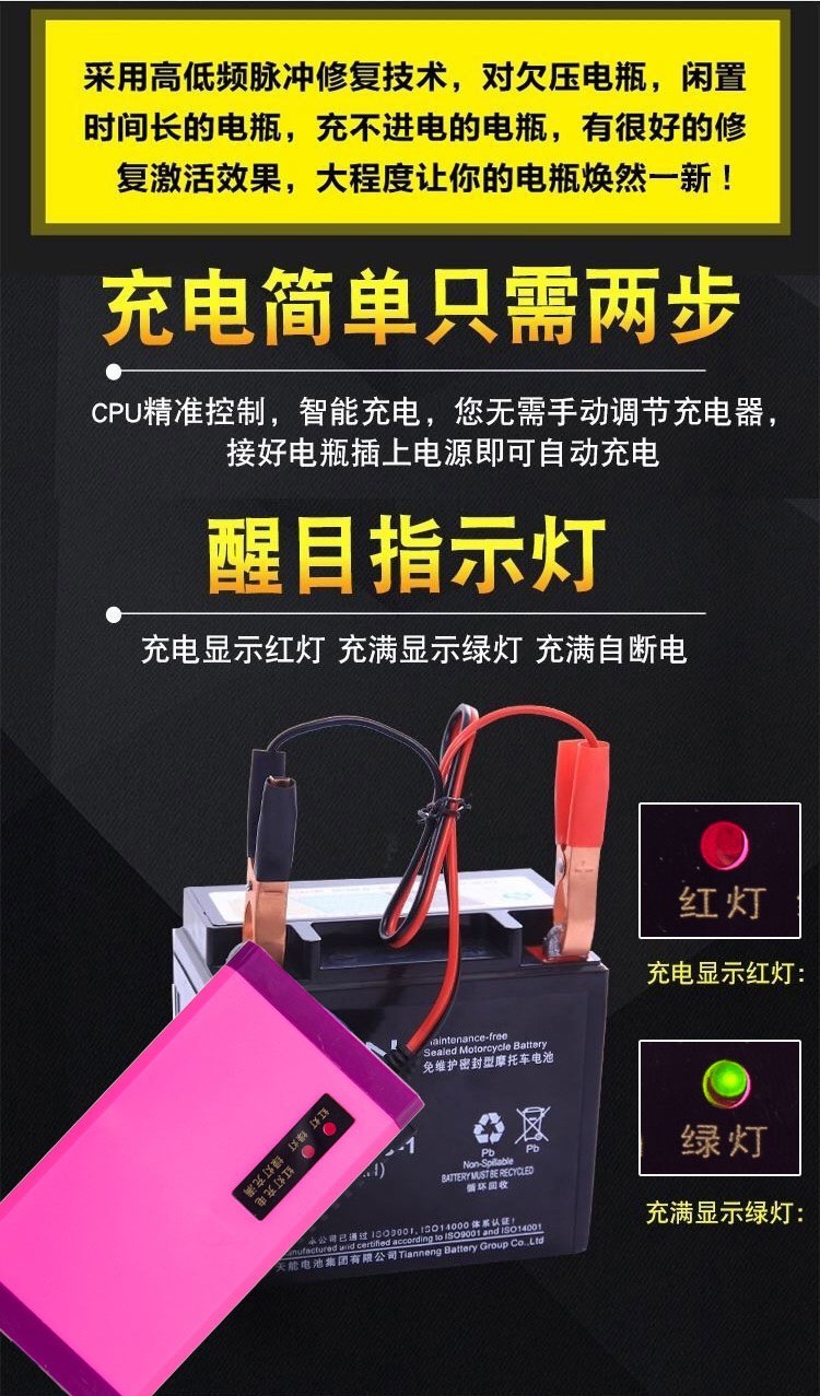 Portable 12V Lead Acid Battery Chargers For Universal EV Golf Car
