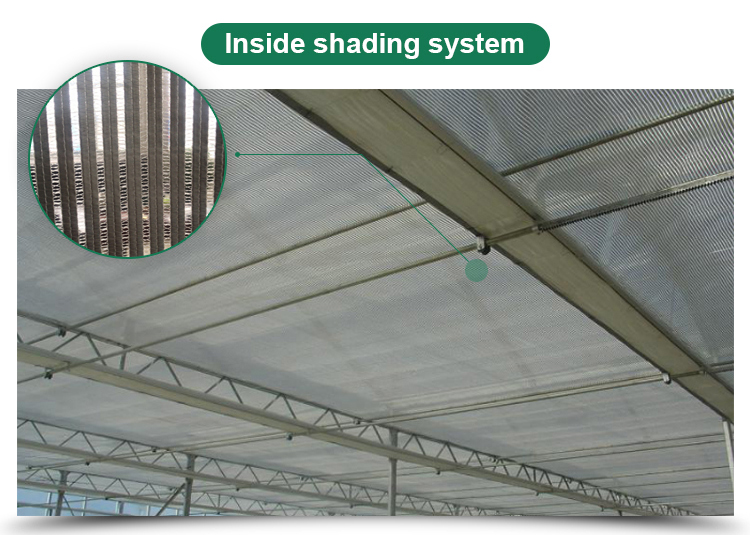 Long Life Multi-Span Film Greenhouse with Electric Control and Cooling Pad Fan System
