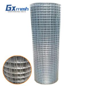 Cheap and high quality galvanized wire mesh corn mesh chicken fence rabbit fence