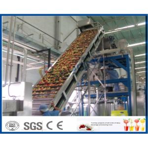 Peach / Apricot / Plum Fruit Juice Production Line Fruit Processing Machinery