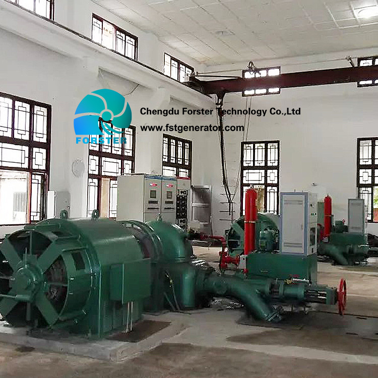 Green Pelton Hydro Generator Used In High Altitude And High Water Head Mountain Areas