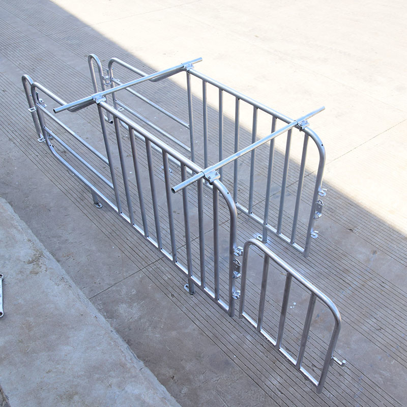 1inch Pipe OD Swine Farrowing Pen Farm Equipment 2.2*0.65m