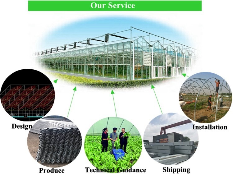 Hydroponic System for Aquaponics in Multi-Span Agricultural Greenhouse