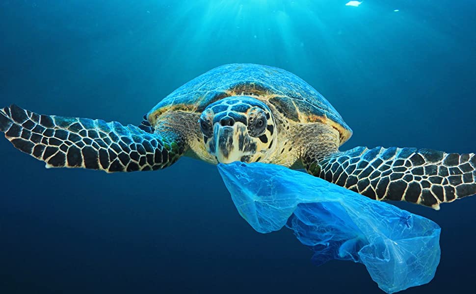 PLASTIC BAGS