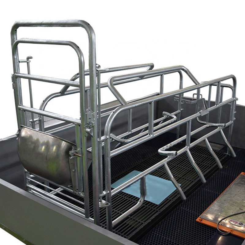 2.4*1.8m Pig Sow Farrowing Crate Pen
