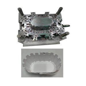 Customized Surface Finish Injection Molding Tooling P20 H13 Cold Runner Auto CAD