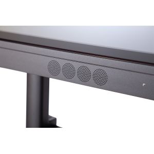 Business 65 Inch Touch Screen , Infrared Interactive Flat Panel Display