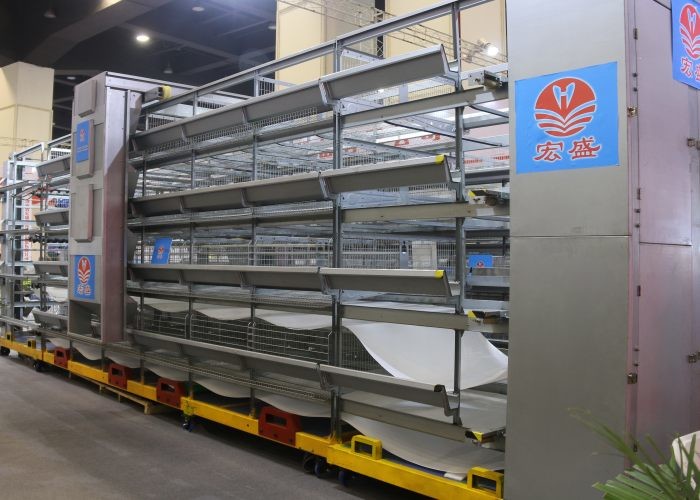 High Performance Automatic Poultry Feeder System Convenient To Maintain