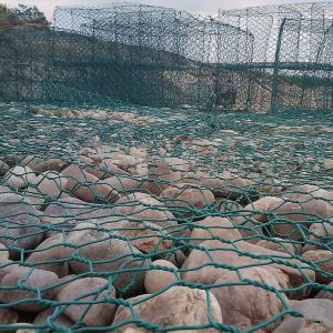 Wire, Steel Wire Mesh Roll, Versatile And Durable Garden Netting, Essential