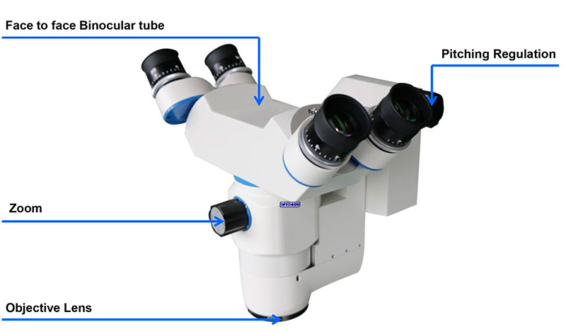 Chest Burn And Plastic Surgical Microscope OPTO EDU A41.1942