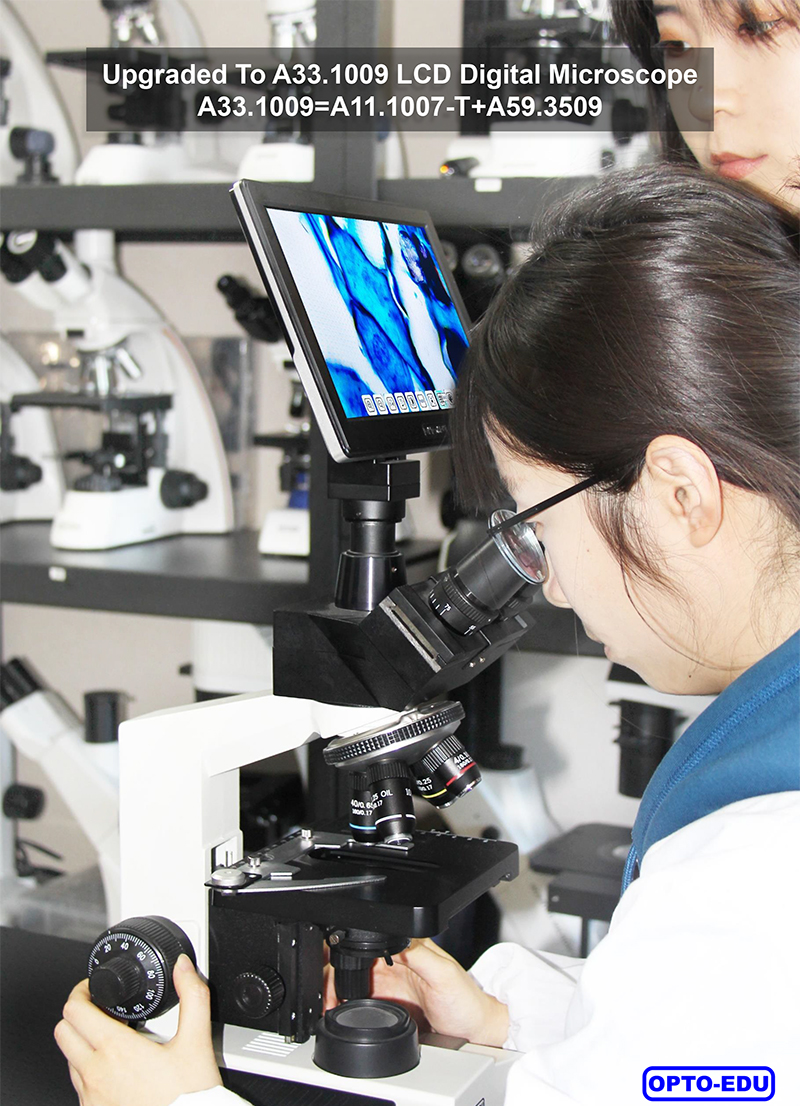 Laboratory Compound Xsz 107bn 1600x Biological Microscope