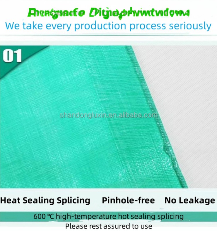 UV Resistant Green PE Tarpaulin for Rain and Sunshine Protection in Coated Pattern