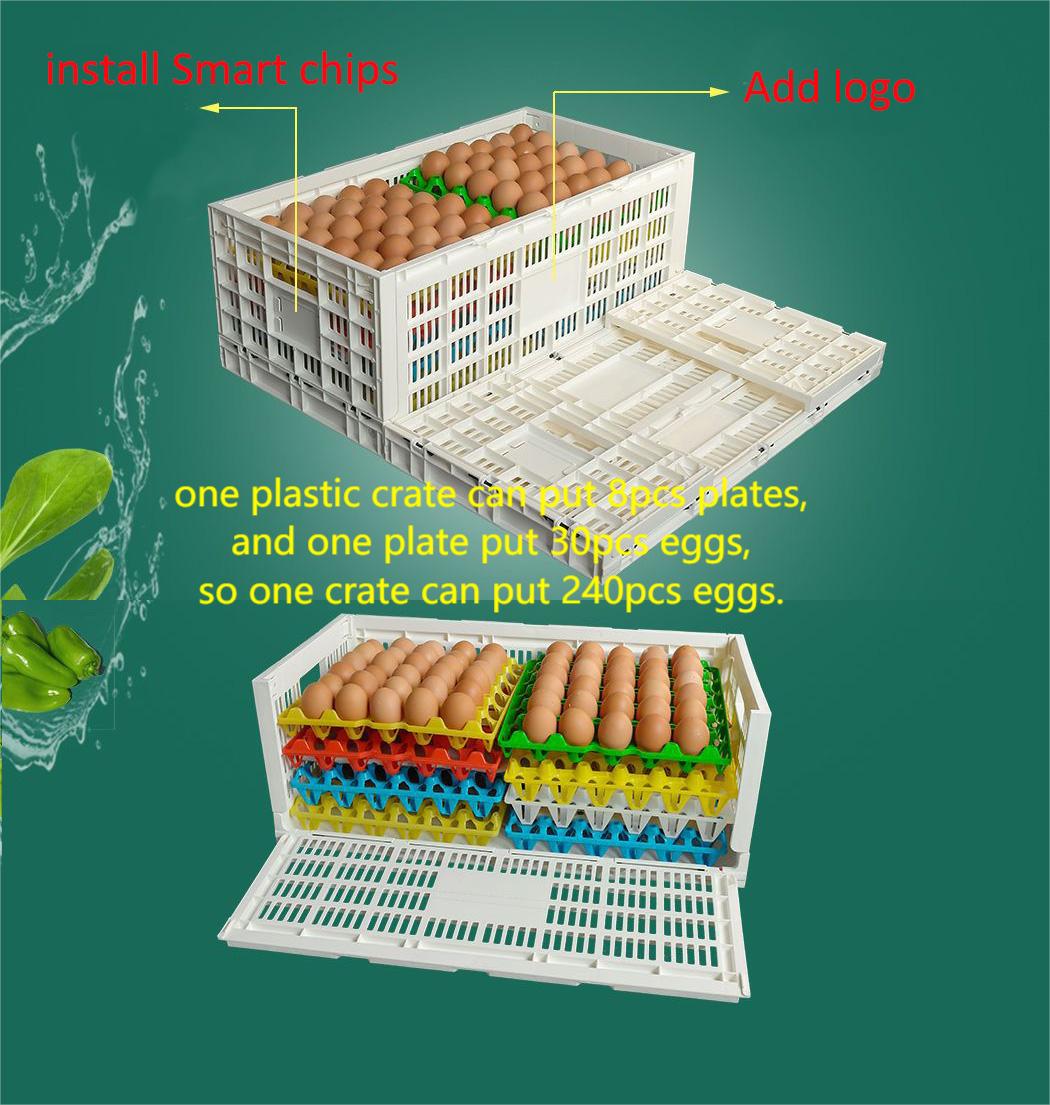 Foldable 14 Egg Storage Box Stackable Plastic Kitchen Organizer Bin for Storing Eggs