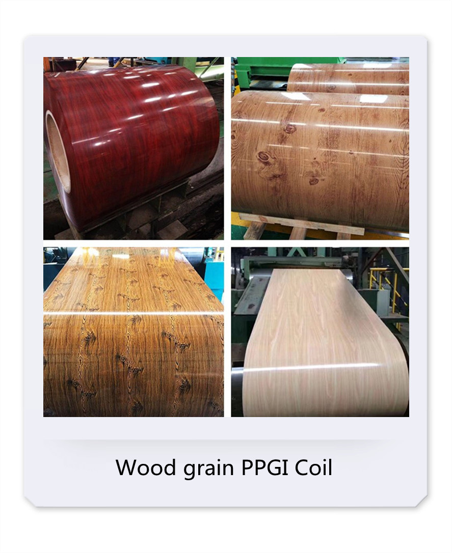 Length at request PPGI steel coil pre-painted galvanized iron coil galvanized material roll