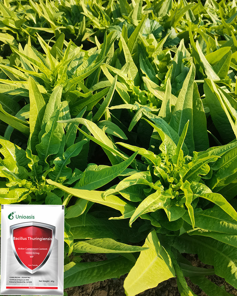 Microbial Non Toxic Plant Insecticide Bacillus Thuringiensis Btk 32 High Efficiency For Agriculture Pests