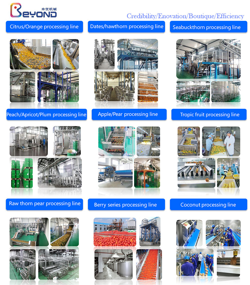 2TPH Tomato Paste Processing Line
