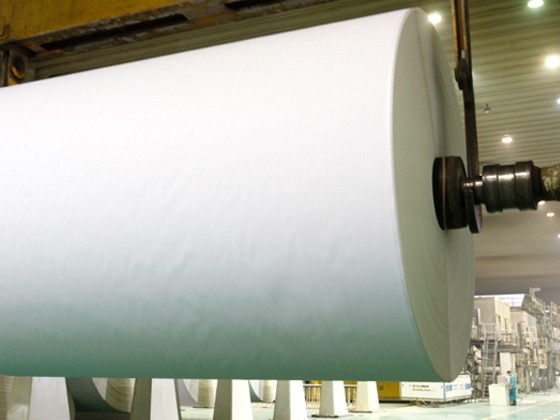 Gift Wrapping Paper 250g300g Coated One Side C1s/Fbb for Making Postcard