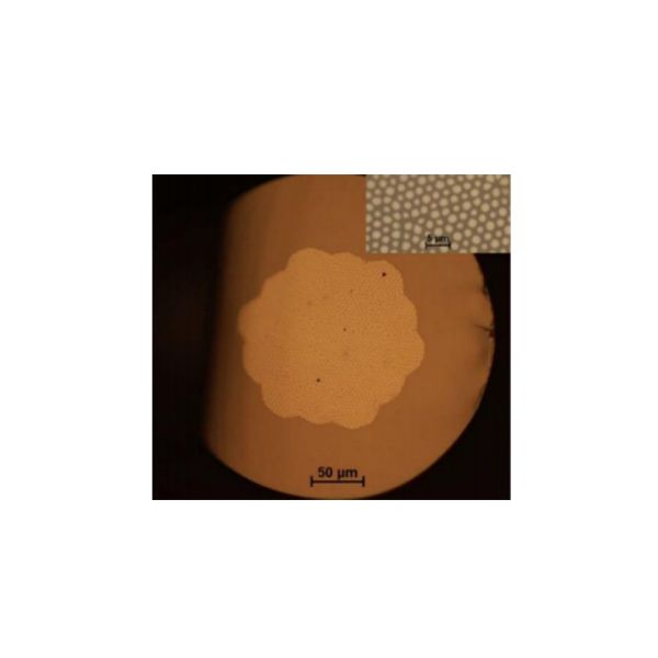 190～1250nm (UV) 300～2400nm (IR) Imaging fibre fiber Multi-core: 3000～100000