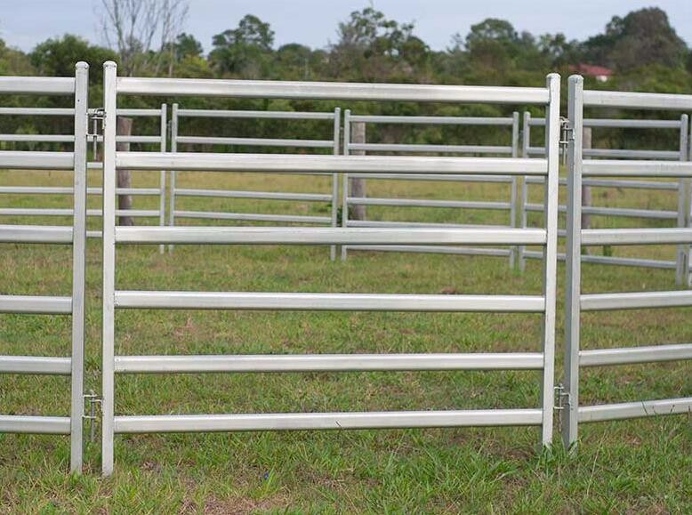 Cattle Yard Panels 1.6mx1.8m 0val 30mmx60mm design Farm Fencing