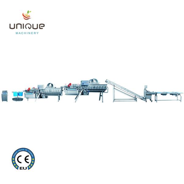 Salad Processing Made Easy Vegetable Washing Machine for Baby Spinach Lettuce