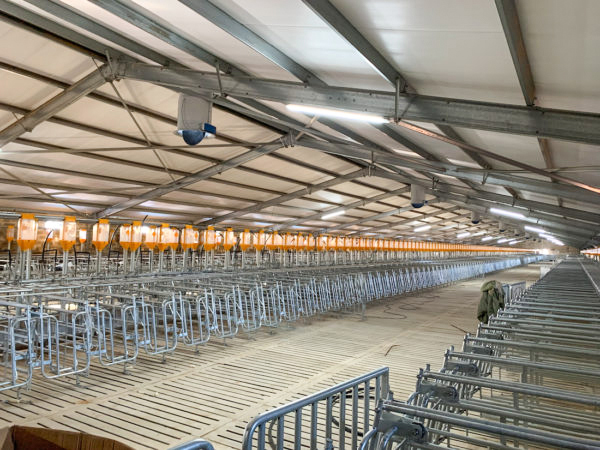 Q235/Q345 Horse Barn Style Metal Buildings Prefab Metal Horse Barn OEM ODM