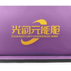 24pcs Photon Lights Negative Ion Balls with Desktop Black Controller