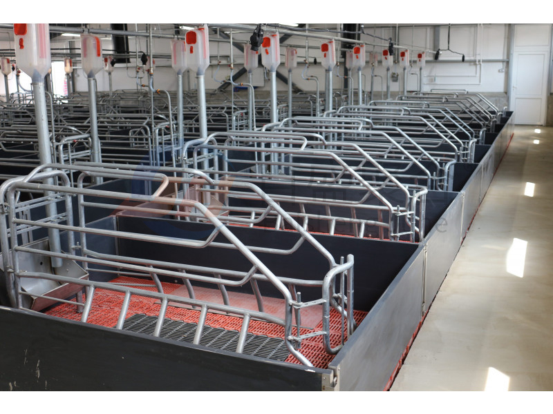 High Tolerance Pig Farrowing Crates for Customized Agricultural Livestock Equipment