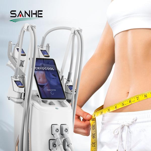 Fat Removal 360 cryo 5 handles Cryolipolysis machine 360 Cryolipolysis Slimming