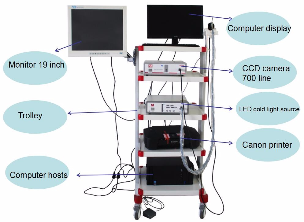 AC220V 50HZ Laparoscopic Camera System With LED Light Source / Endoscopy Trolley