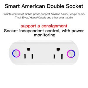 wifi smart plug with dual US sockets
