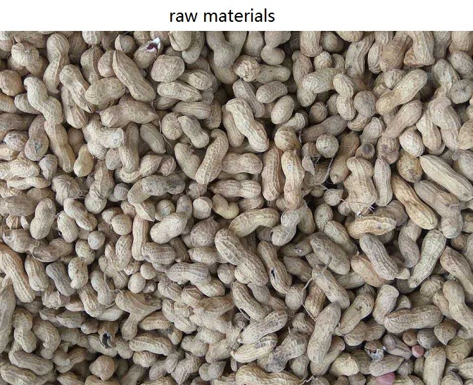 High Resolution pistachio Cashew Nut Color Sorter