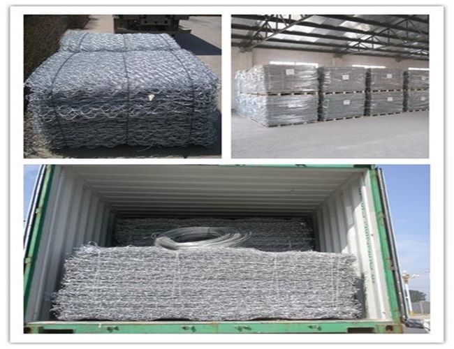Electro Galvanized Rabbit Chicken Hex Wire Netting