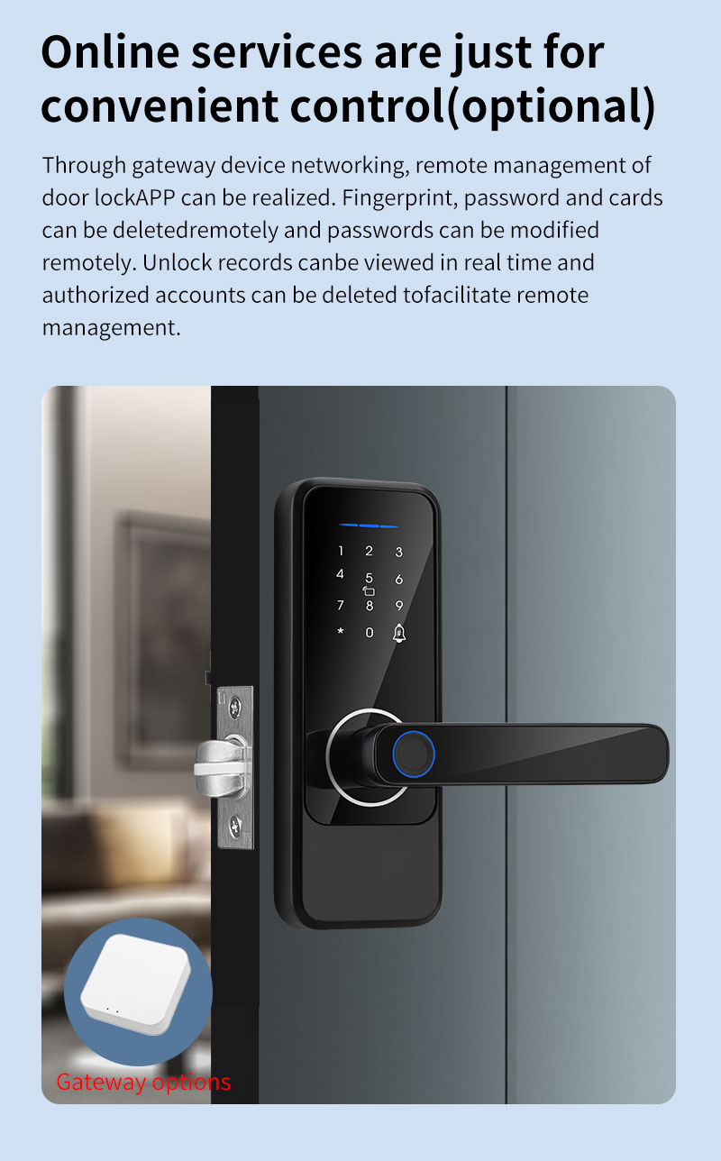 Alkaline Battery Electric Door Lock Fingerprint Aluminum Alloy Smart Locks For Home